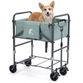 FlexBath Portable Foldable Dog Bath Tub